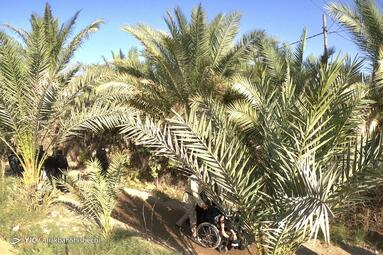 حرکت در مسیر عاشقی