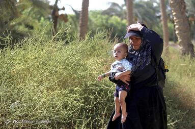 پیاده روی اربعین در مسیر طریق العلما