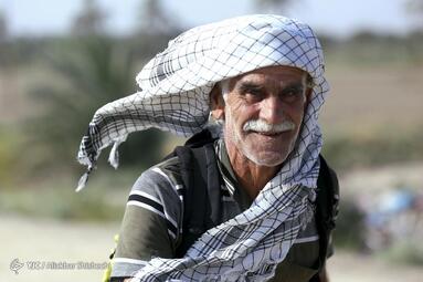 پیاده روی اربعین در مسیر طریق العلما