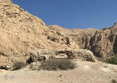رخنه گیاهان خودرو در آتشکده آذرجو در دهستان شاهیجان داراب