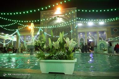 جشن شب میلاد امام علی (ع) در حرم حضرت معصومه (س)