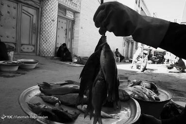 صید ماهی با برق