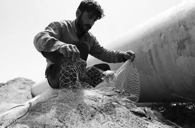 صید ماهی با برق