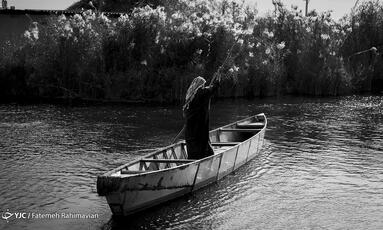 صید ماهی با برق