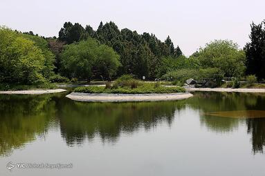 باغ گیاه شناسی ملی ایران به وسعت ۱۴۵هکتار در دامنه جنوبی رشته کوه البرز در شمال غربی تهران واقع گردیده است