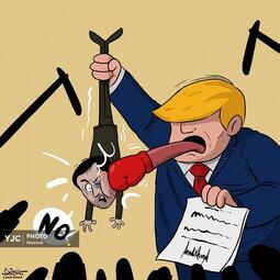 کمال شرف از یمن 