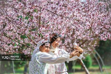 بهار طبیعت در تهران