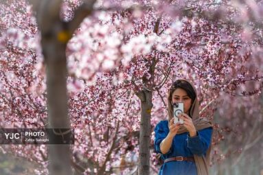 بهار طبیعت در تهران