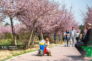 بهار طبیعت در تهران