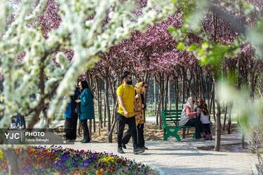 بهار طبیعت در تهران