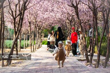 بهار طبیعت در تهران