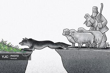 علیرضا پاکدل از ایران