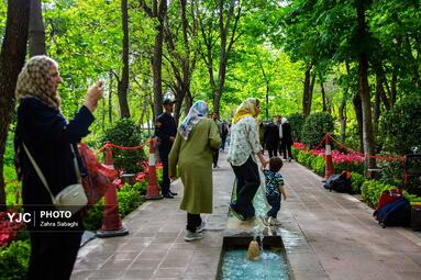 لاله های بهاری مهمان باغ ایرانی
