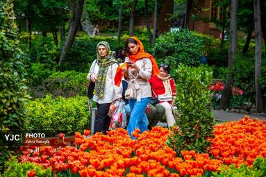 لاله های بهاری مهمان باغ ایرانی