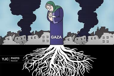 دراکویی از مراکش