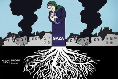دراکویی از مراکش