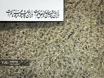 نمایشگاه «در سوگ سرو»