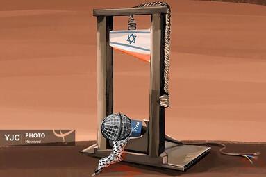 قاسم از هلند