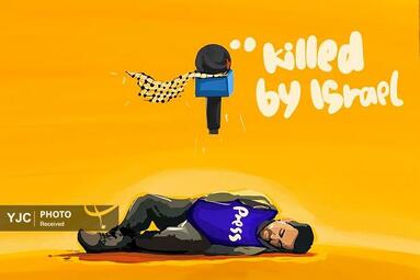 قاسم از هلند
