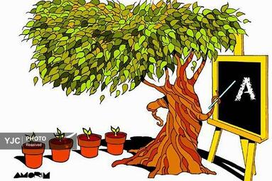 آموریوم از برزیل