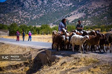 نور امید در کلاس های ساده روستایی