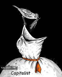 سوهایل از  آمریکا