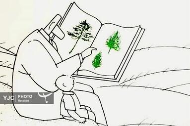 کامبیز درم بخش از ایران