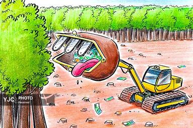 گاتیس اسلوکا از برزیل