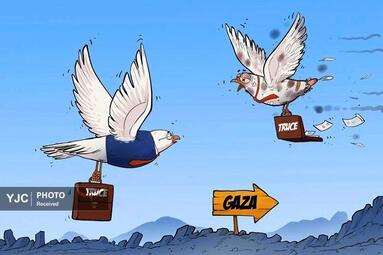 احمد رحما از ترکیه