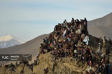 نشستن بر بلندترین مکان برای تماشای مسابقه سنتی بزکشی، افغانستان