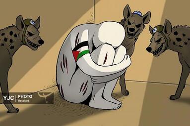 کمال شرف از یمن
