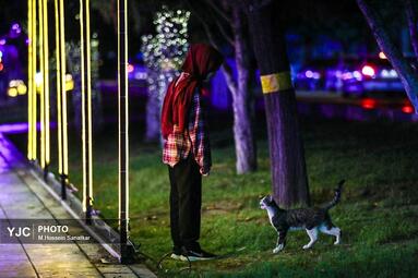 جشن نور تهران