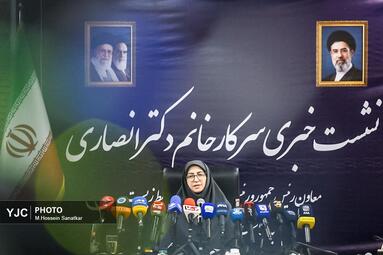 نشست خبری رئیس سازمان حفاظت محیط زیست